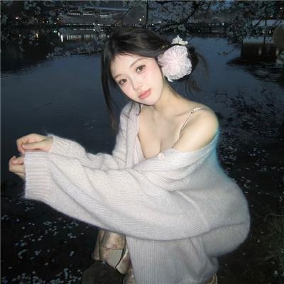 宫崎骏与苍鹭
